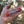 EOG Pocket Bellows Collapsible Fire Bellowing Tool