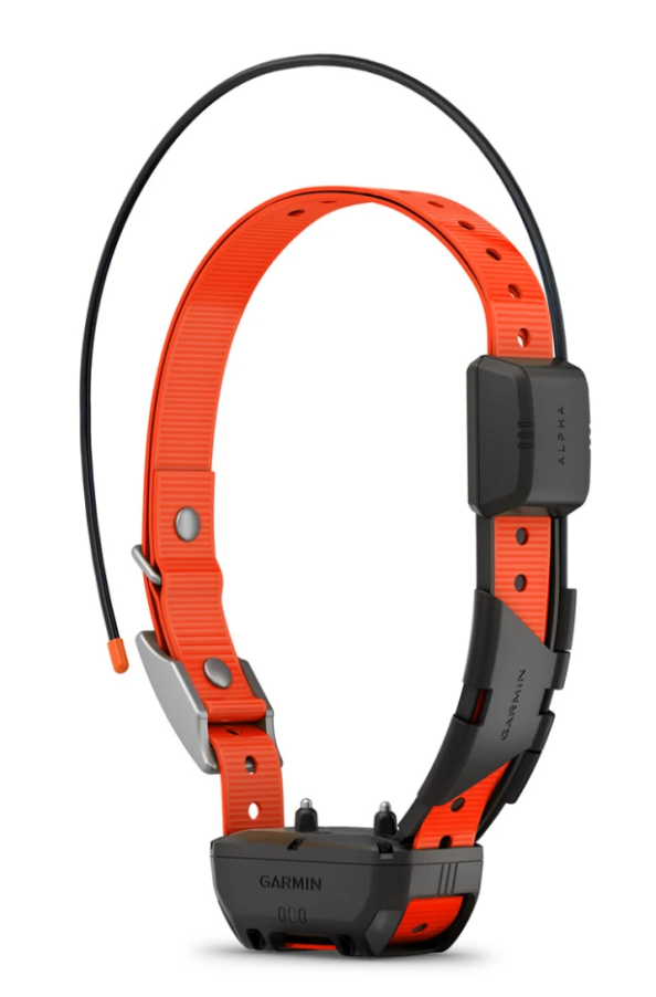 Garmin Alpha® TT 25 Dog Collar