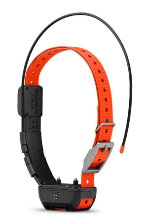 Garmin Alpha® TT 25 Dog Collar