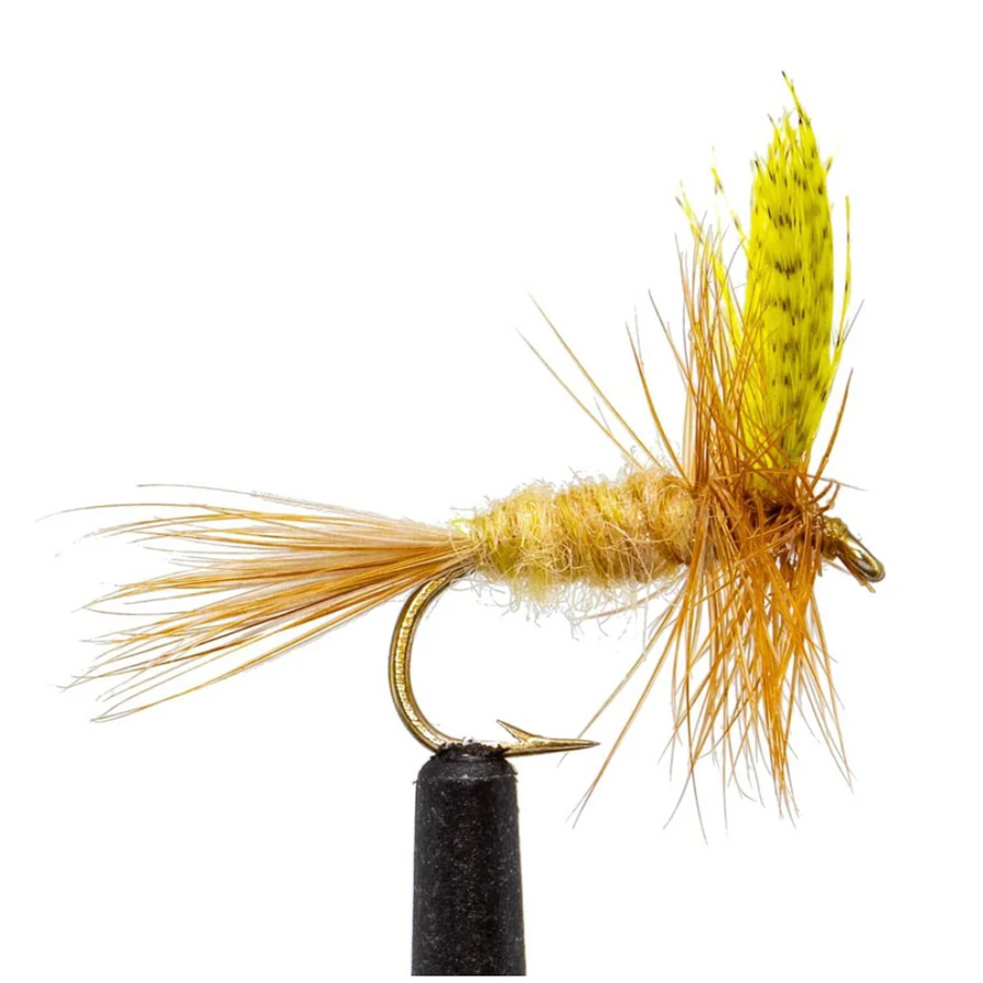 Jackson Cardinal Flies