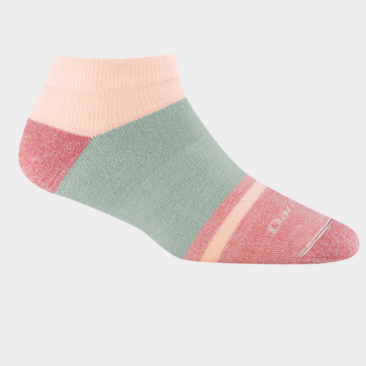 Darn Tough Women's Lifestyle No Show Heavyweight Full Cushion Socks (6127)