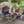 ALPS Sidekick camp Stool or Side Table (8131376)