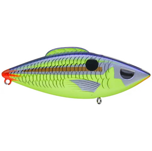 Head Hunter Firetail Rattler