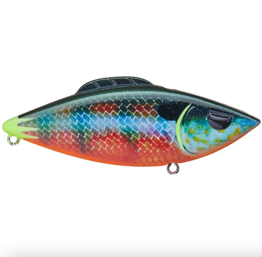 Head Hunter Firetail Rattler