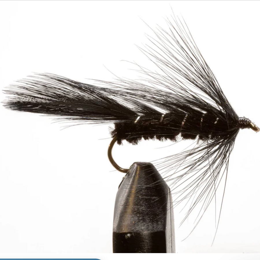 Jackson Cardinal Flies