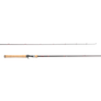 Shimano Convergence Multi Species Casting Rod
