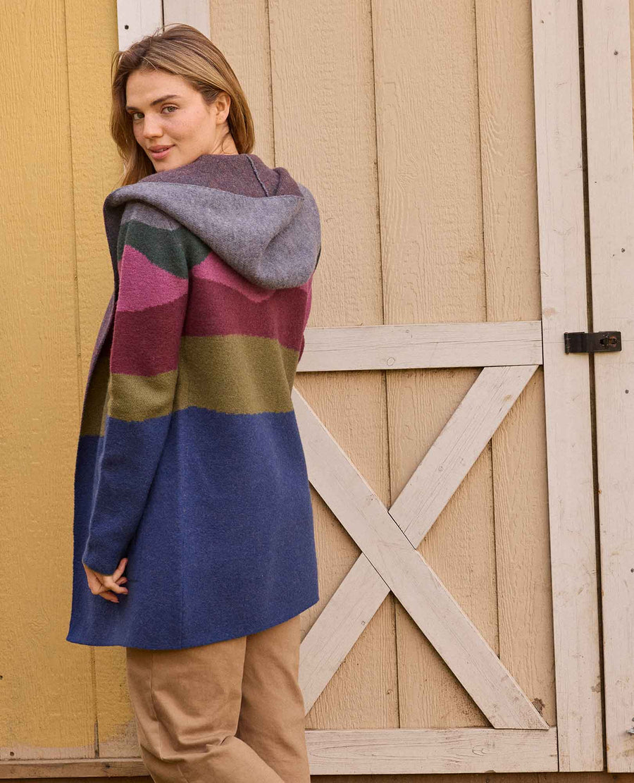 Toad&Co Women's Merino Heartfelt Hoodie (T1071409)