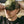 Vortex Counterforce Cap (120-64)