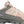 Oboz Women's Katabatic Low  (43002)