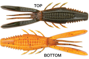 Rapala Crush City Bronco Bug