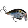 Strike King KVD 2.5 Wake Bait