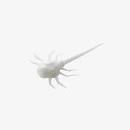 13 Fishing Ice Plastics Coconut Crab