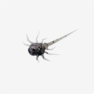 13 Fishing Ice Plastics Coconut Crab