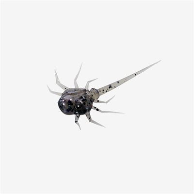 13 Fishing Ice Plastics Coconut Crab