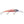 Bandit Generator-Bandit-Wind Rose North Ltd. Outfitters