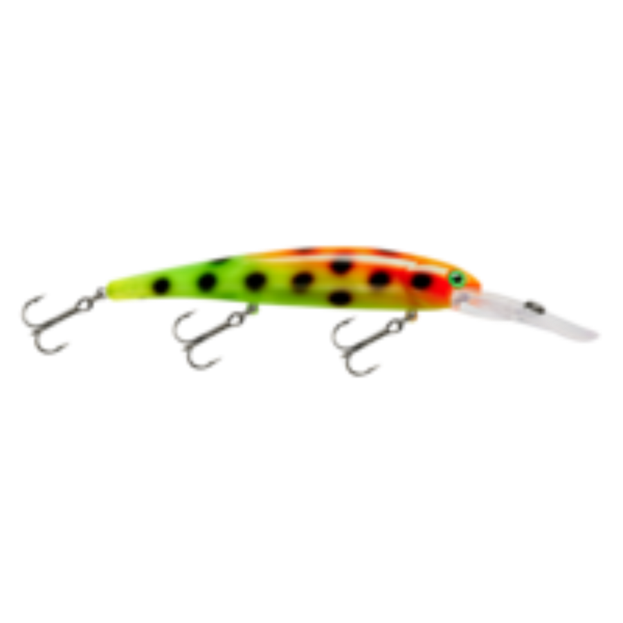 Bandit Generator-Bandit-Wind Rose North Ltd. Outfitters