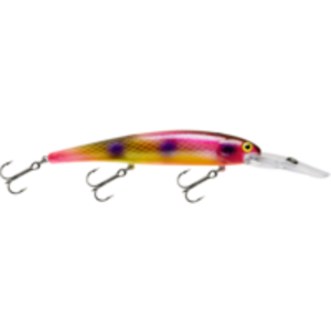 Bandit Generator-Bandit-Wind Rose North Ltd. Outfitters