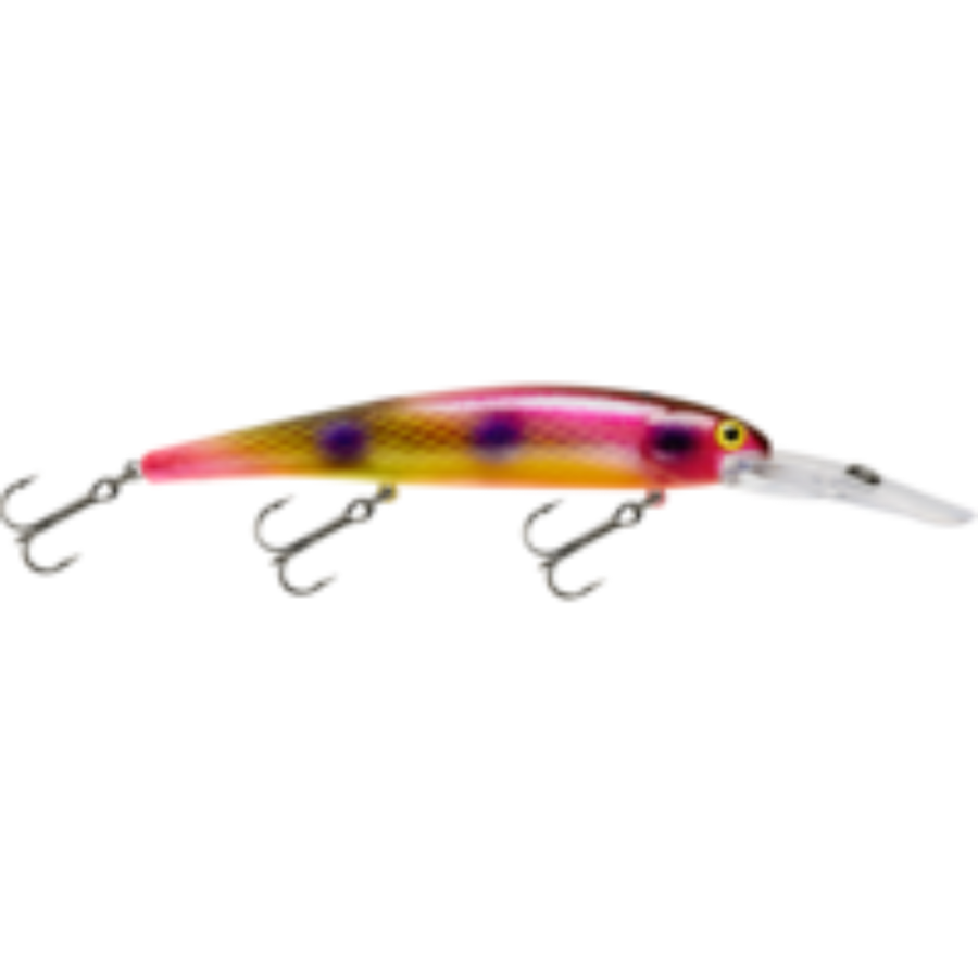 Bandit Generator-Bandit-Wind Rose North Ltd. Outfitters