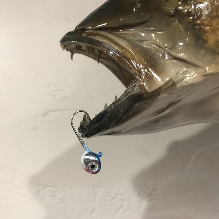 Custom Jig Eye Heads-Wind Rose North Ltd. Outfitters-Wind Rose North Ltd. Outfitters
