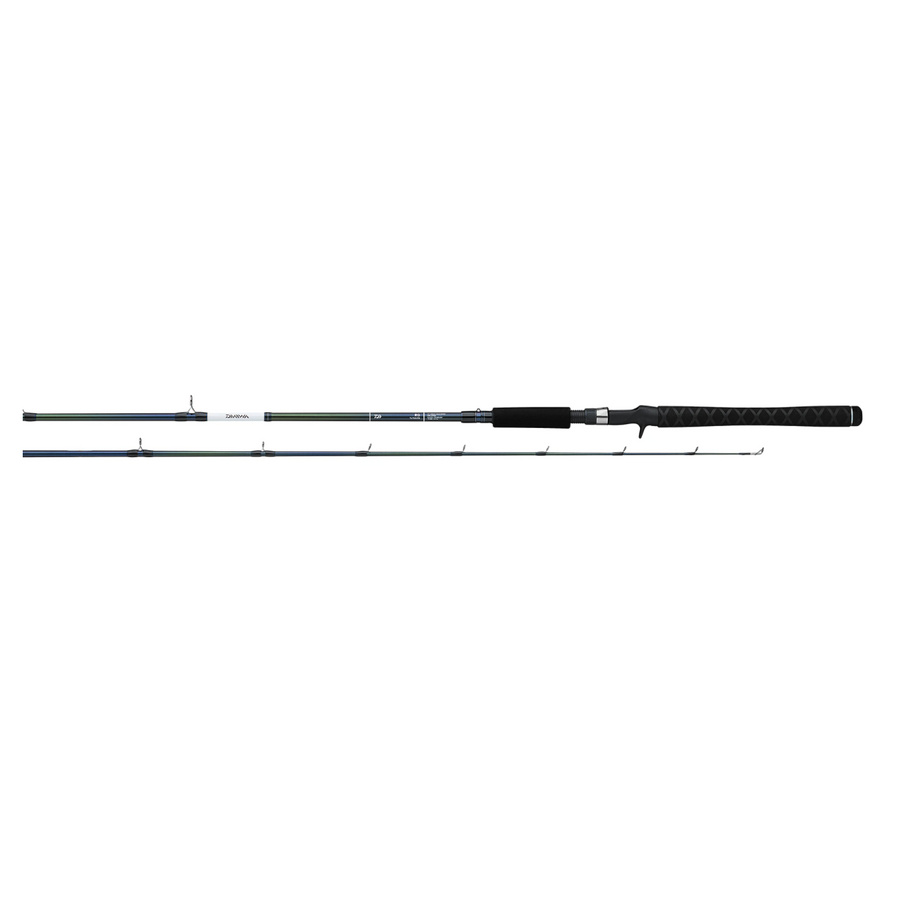 Daiwa RG80TMHFB RG Walleye Series Baitcasting Rod – Wind Rose North Ltd.  Outfitters