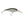 Berkley Flicker Shad 7