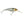 Berkley Flicker Shad 5