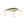 Berkley Flicker Shad 5