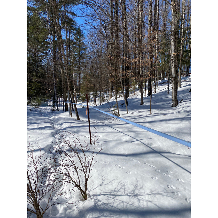 Johnsen's Pure Maple Syrup