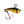 Kenders T-rip-Kenders-Wind Rose North Ltd. Outfitters