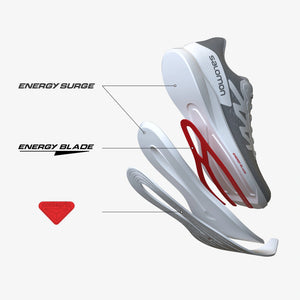 Salomon Men's Spectur Running Shoes (415896)