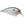 Lucky Craft LC Silent Squarebill-Lucky Craft-Wind Rose North Ltd. Outfitters
