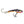 Moonshine Lures Holographic Shiver Minnow #2.5-Moonshine Lures-Wind Rose North Ltd. Outfitters