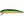 Musky Mania Jake-Musky-Wind Rose North Ltd. Outfitters