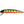 Musky Mania Jake-Musky-Wind Rose North Ltd. Outfitters