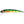 Musky Mania Jake-Musky-Wind Rose North Ltd. Outfitters