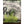 Panfish Pursuers P3 Plastics 1" Slicee-Panfish Pursuers-Wind Rose North Ltd. Outfitters