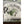 Panfish Pursuers P3 Plastics Crawzi-Panfish Pursuers-Wind Rose North Ltd. Outfitters
