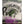 Panfish Pursuers P3 Plastics Spugg-Panfish Pursuers-Wind Rose North Ltd. Outfitters