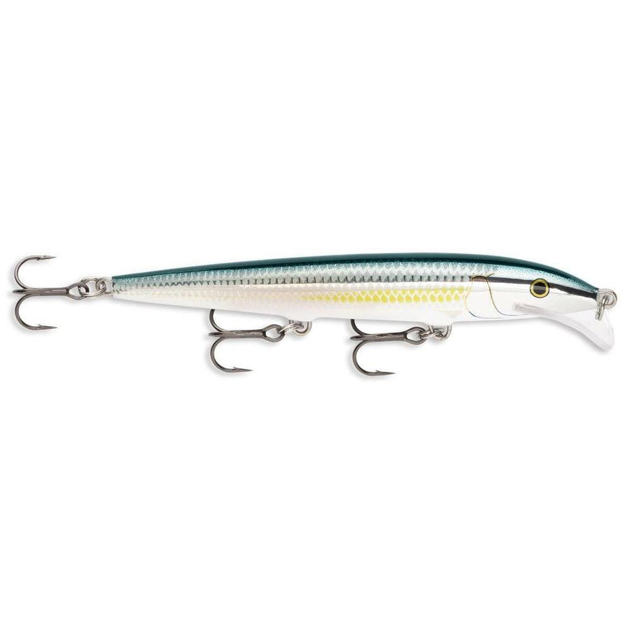 Rapala BX Minnow BXM-10 – Wind Rose North Ltd. Outfitters