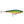Rapala BX Minnow BXM-10-Rapala-Wind Rose North Ltd. Outfitters