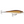 Rapala BX Minnow BXM-10-Rapala-Wind Rose North Ltd. Outfitters