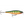 Rapala BX Minnow BXM-10-Rapala-Wind Rose North Ltd. Outfitters