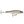 Rapala BX Minnow BXM-10-Rapala-Wind Rose North Ltd. Outfitters