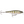 Rapala BX Minnow BXM-10-Rapala-Wind Rose North Ltd. Outfitters