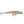 Rapala Husky Jerk HJ-10-Rapala-Wind Rose North Ltd. Outfitters