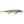 Rapala Husky Jerk HJ-12-Rapala-Wind Rose North Ltd. Outfitters