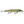 Rapala Husky Jerk HJ-14-Rapala-Wind Rose North Ltd. Outfitters