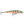 Rapala Husky Jerk HJ-14-Rapala-Wind Rose North Ltd. Outfitters