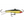 Rapala Jigging Rap W2-Rapala-Wind Rose North Ltd. Outfitters