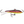 Rapala Jigging Rap W3-Rapala-Wind Rose North Ltd. Outfitters